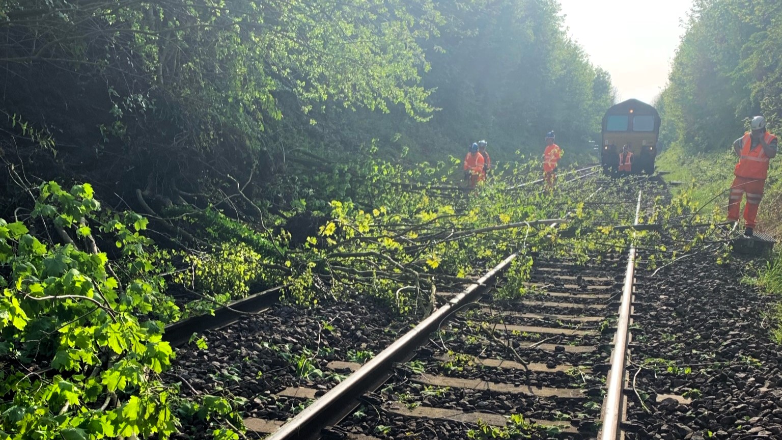Trees have fallen on to a railway line blocking it in front of a train. The trees have fallen due to a landslide on the slope next to the track.